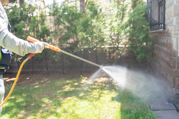 Best Organic or Eco-Friendly Pest Control  in Princeton, TX